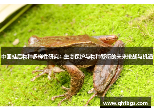 中国蛙后物种多样性研究：生态保护与物种繁衍的未来挑战与机遇